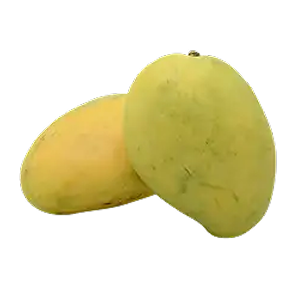 UP Chaunsa Mango
